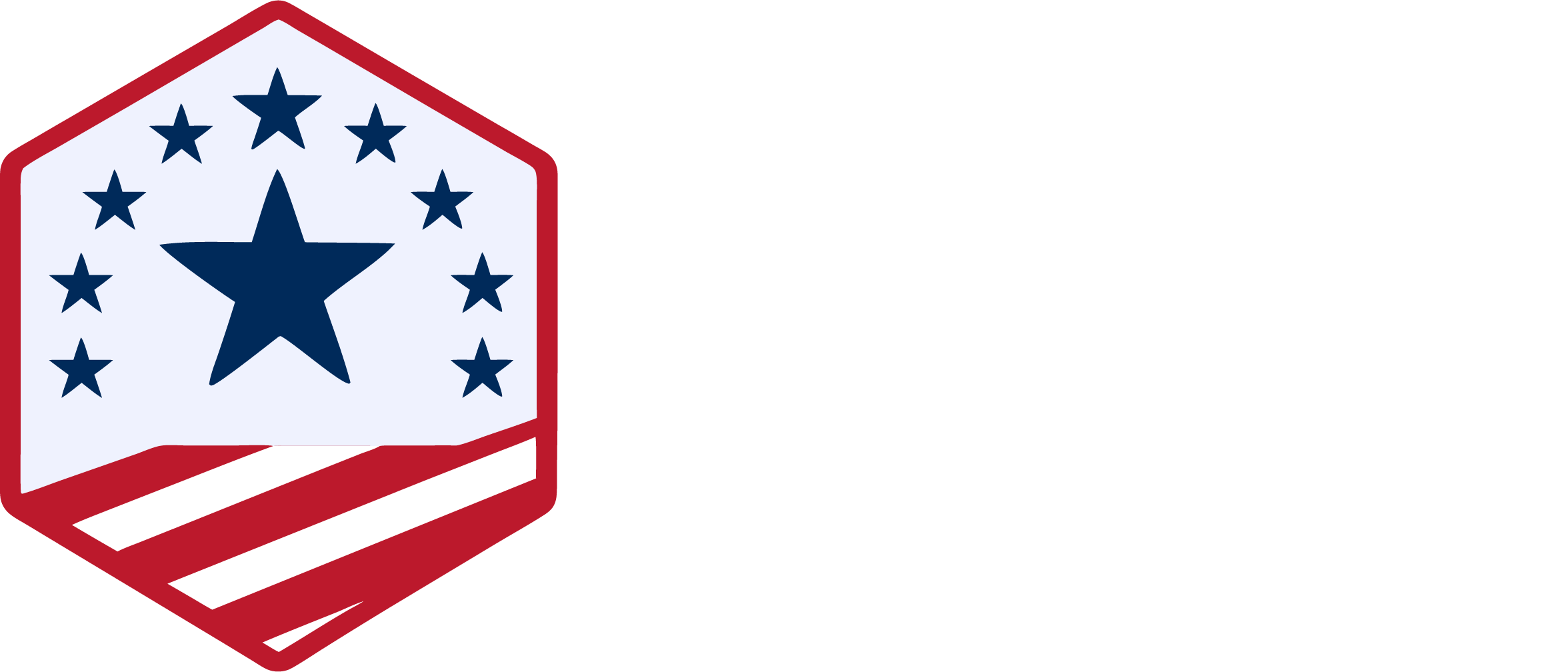 The American Patch - Logo